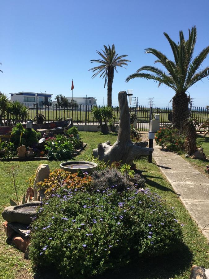 Amor Da Vida Port Elizabeth Bagian luar foto